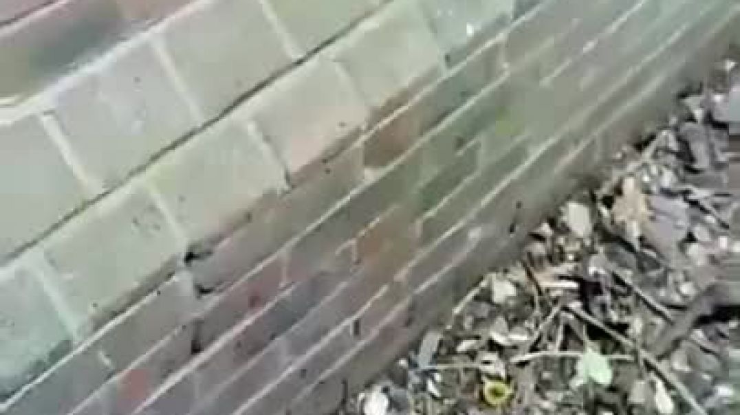 College Slut Fucked Outdoors