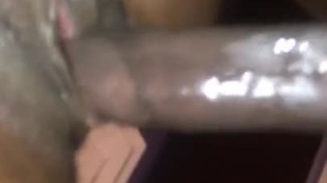 kenyan-pussy