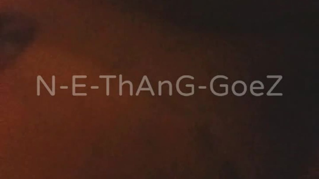 N_E_ThAnG_GoeZ (promo)