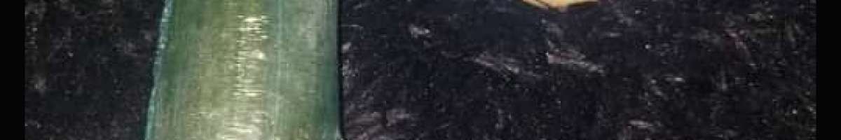 Black_Panther