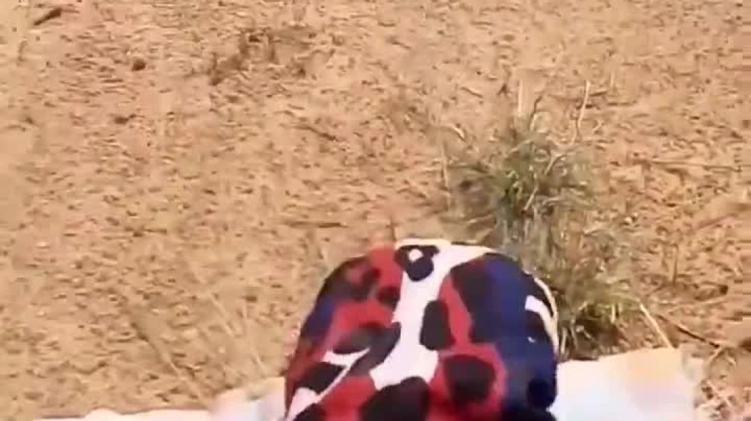 Outdoor sex