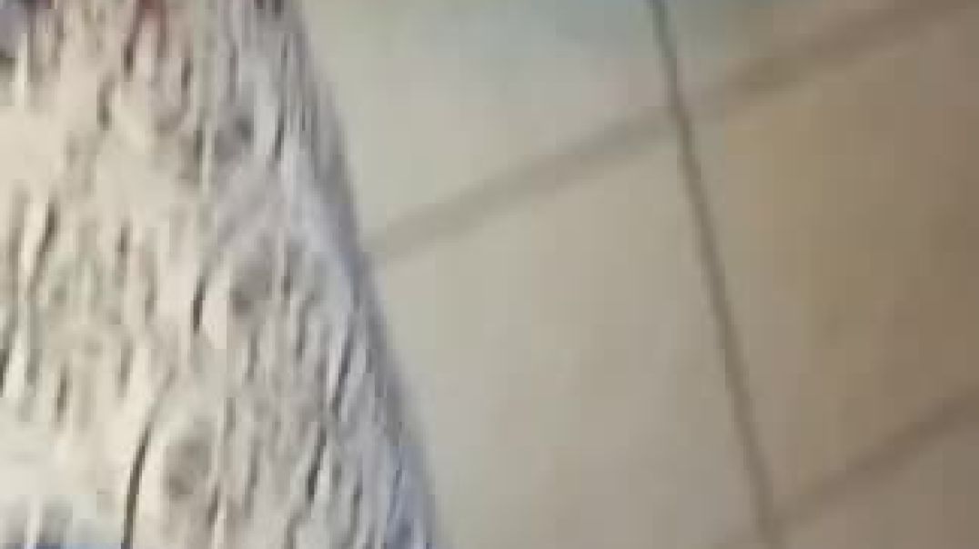 ⁣Saba iPipi