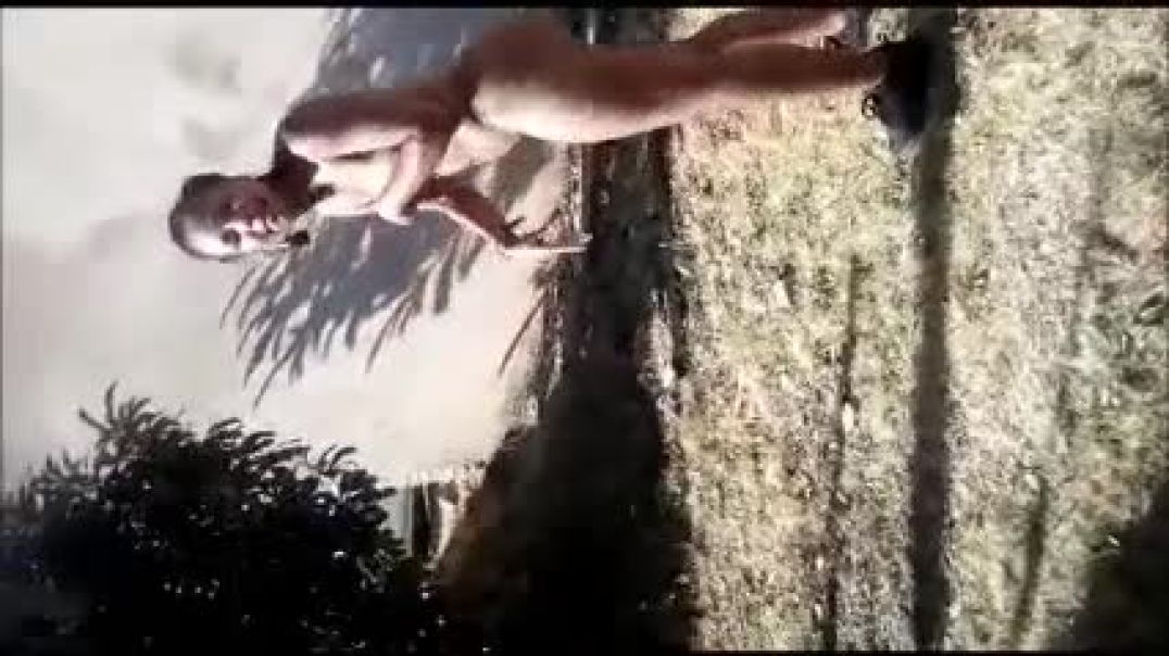Big ass xhosa girl caught with married husband
