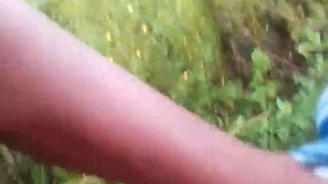 ⁣Morena SA Fucking in The Bushes