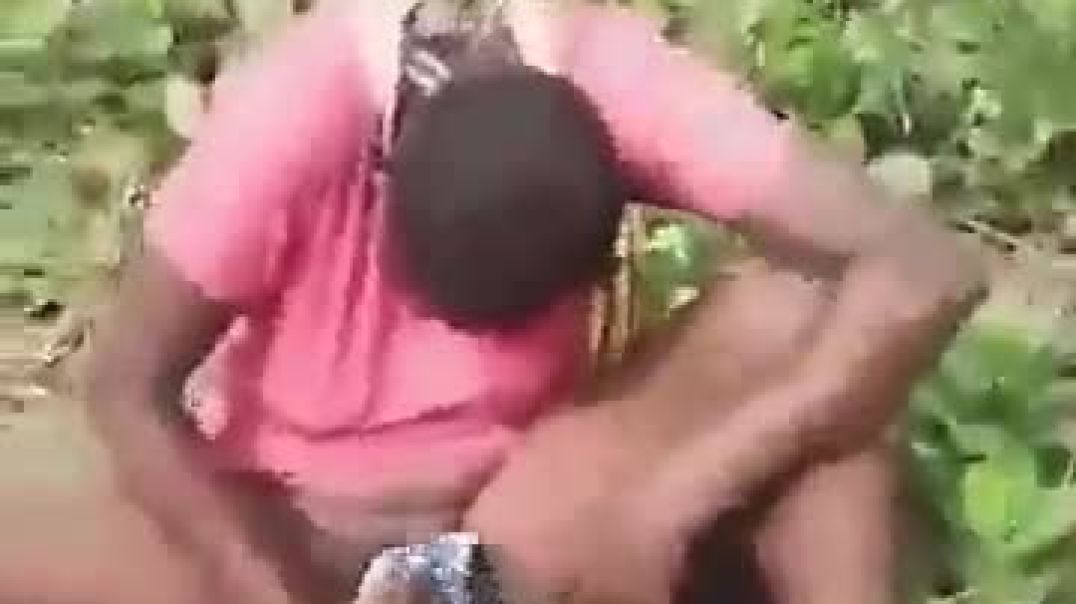 ⁣I caught my step cousins fucking in the bush
