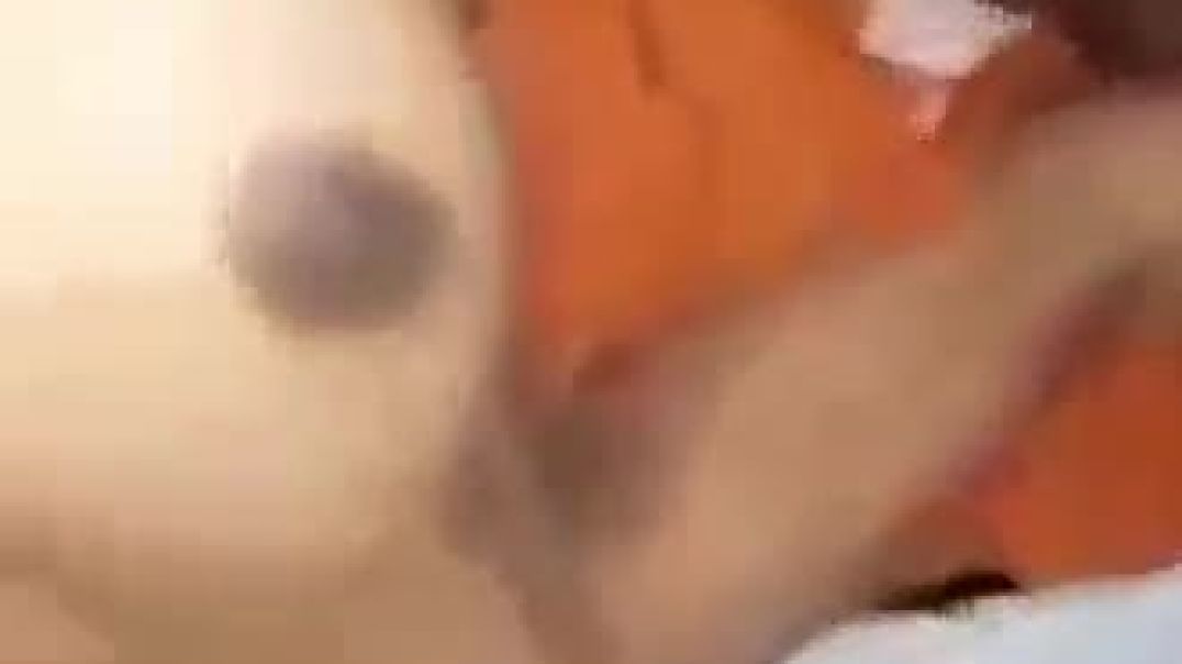⁣Fucking Tembisa 2K Yellowbone