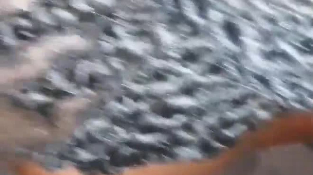 Sextape With Xoli