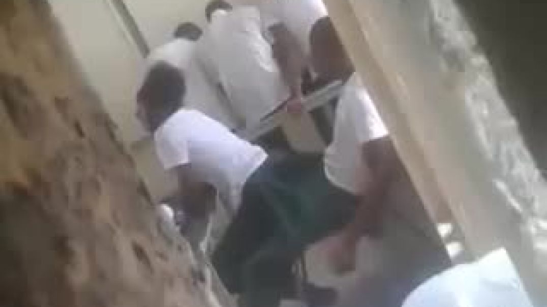 School