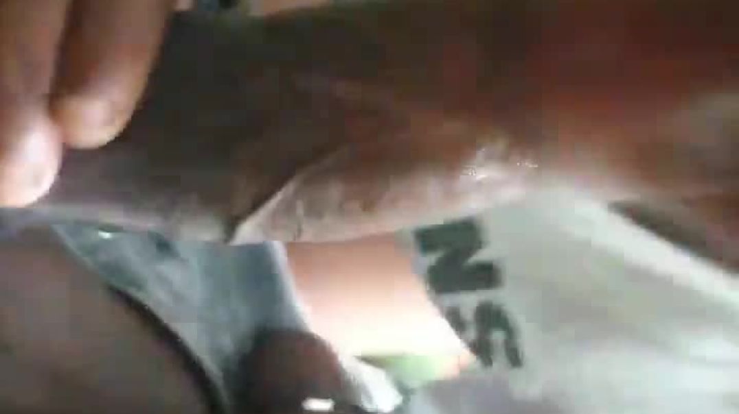 Bigdick zulu