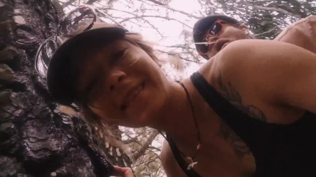 ⁣Quicky in the Woods!