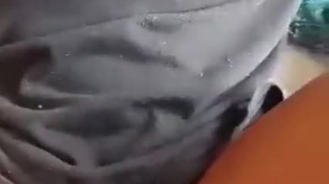 Fucking darty bitch