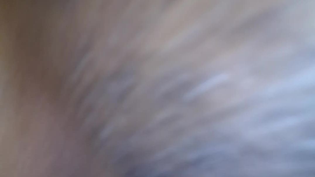 VID_20241026_151330