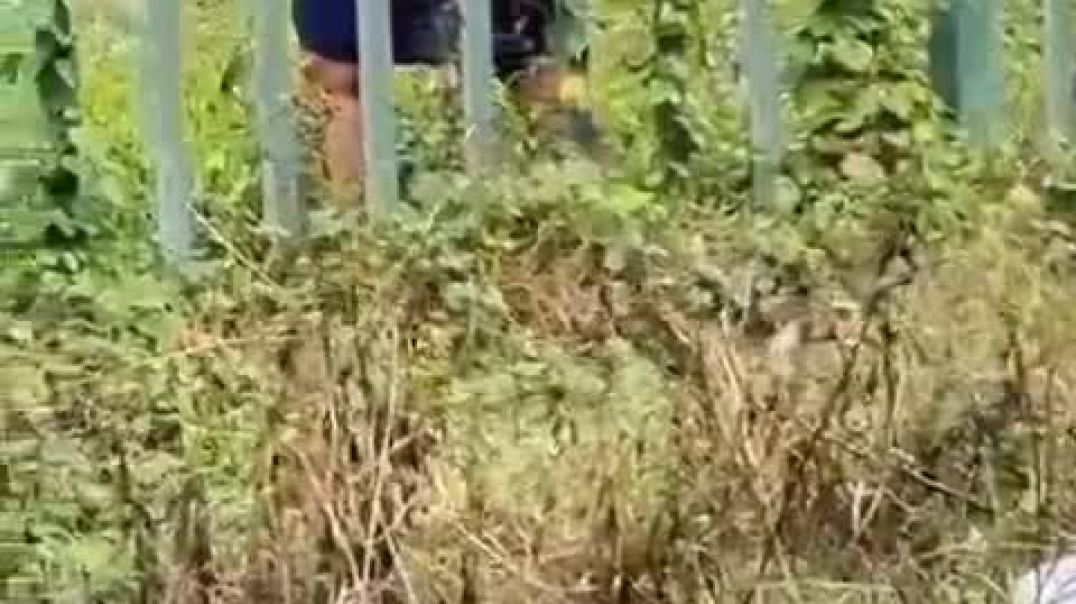 VID_20250109_002748_032