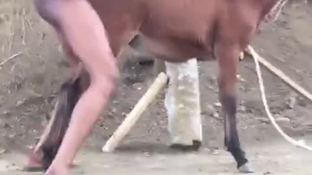7738