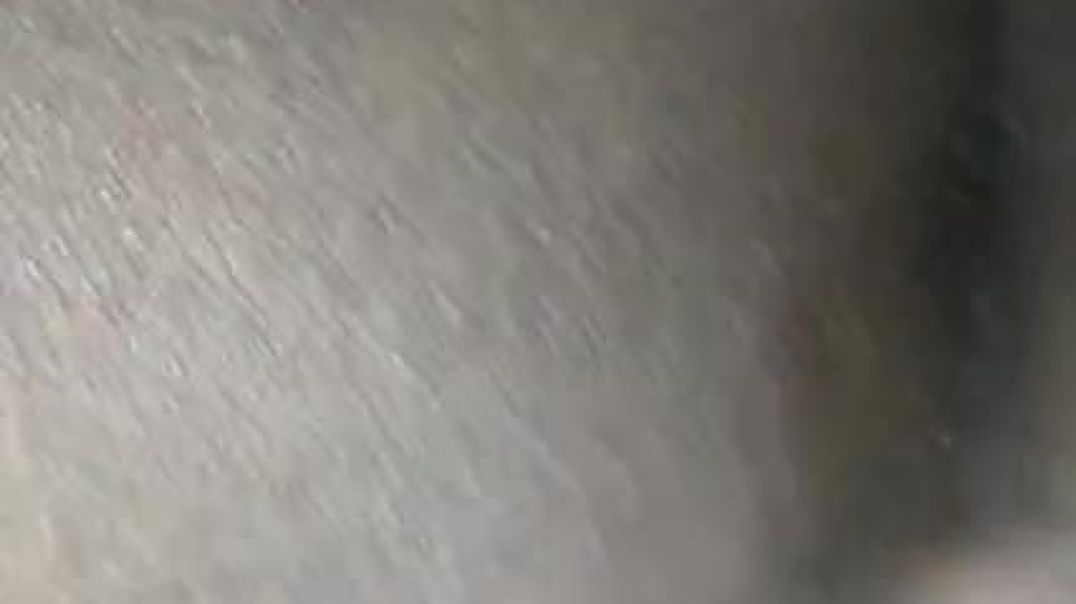 ⁣Fresh pussed 1