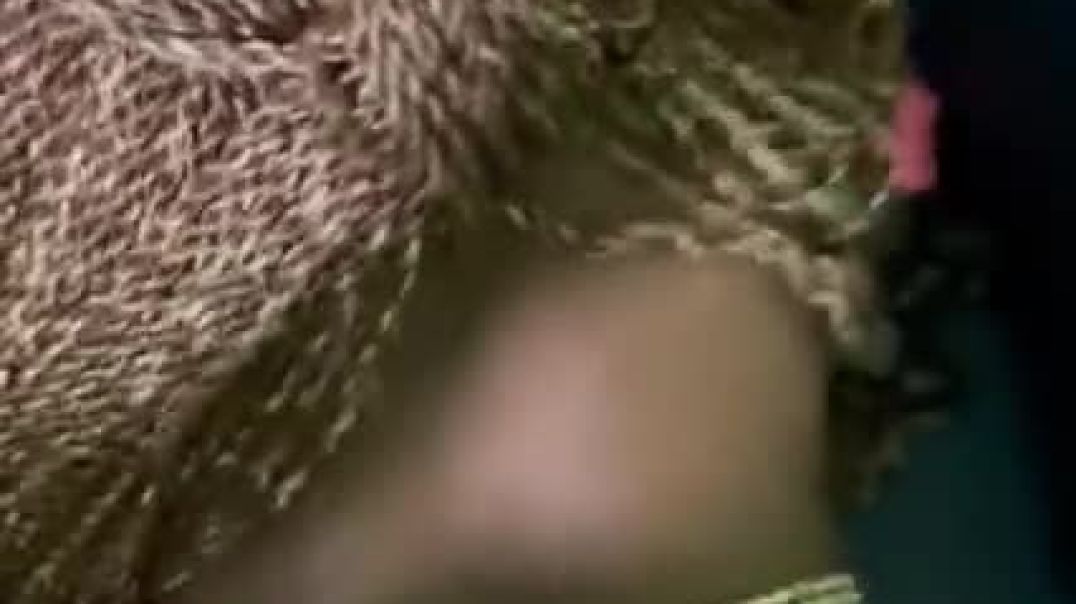 ⁣Video call to my wife