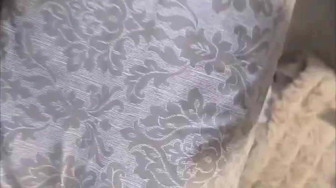 ⁣Zulu Guy didn't Even Last 2 minutes In that Mzansi Teen Pussy