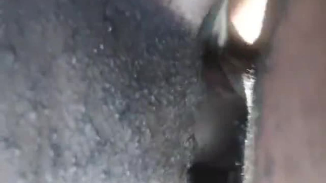 ⁣Teen fucked in the car