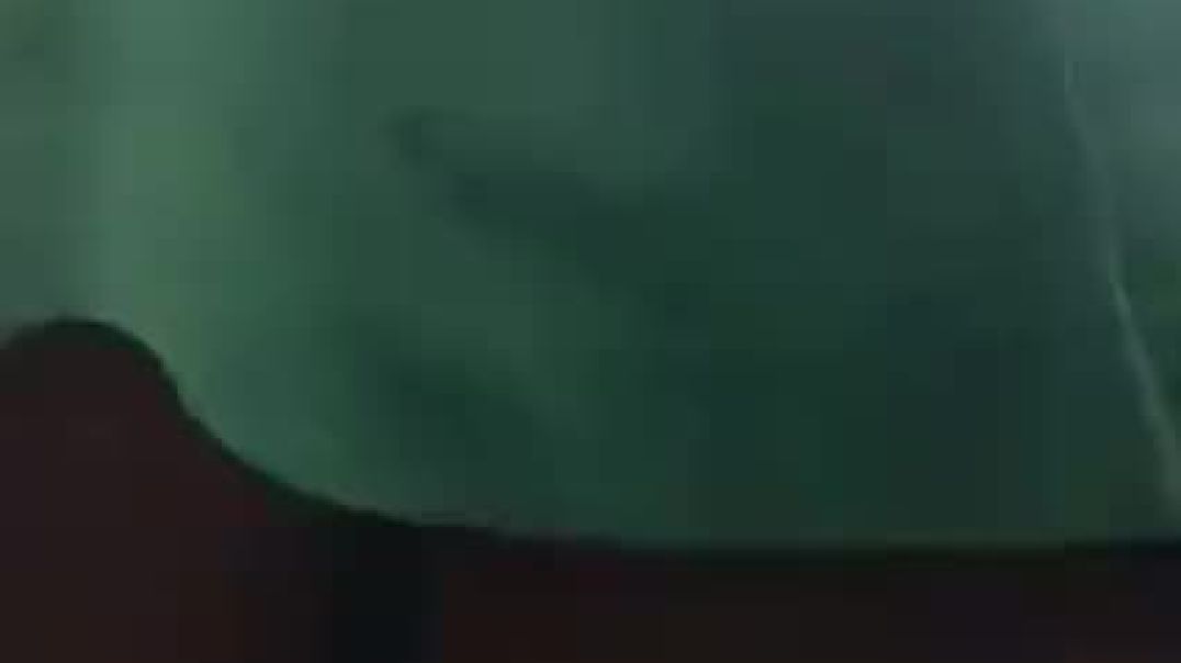 Upskirt