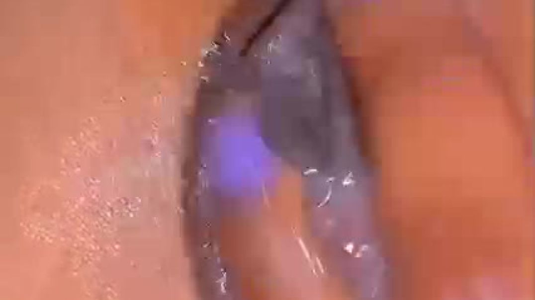 VID-20250609-WA0002
