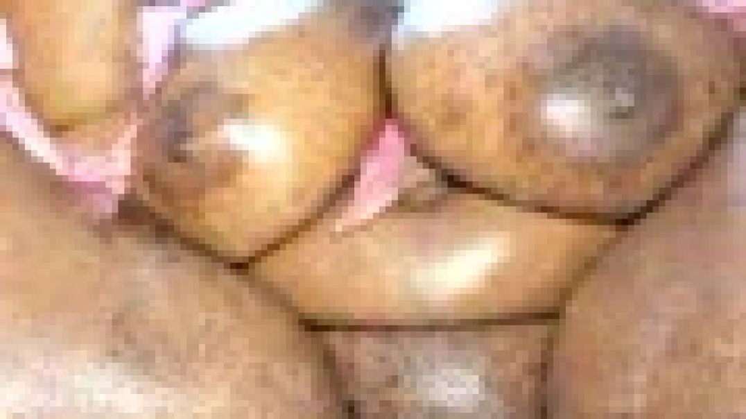 ⁣PuddingPott Porn Videos_ Sex Model Nudes _ xHamster_RESOLUTION
