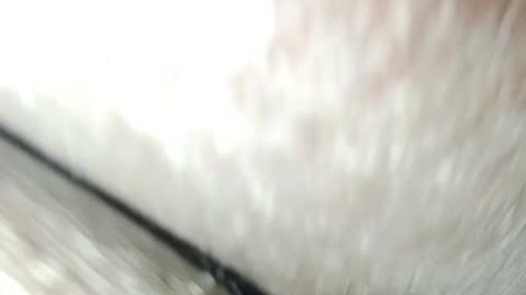 video_20250729_074814