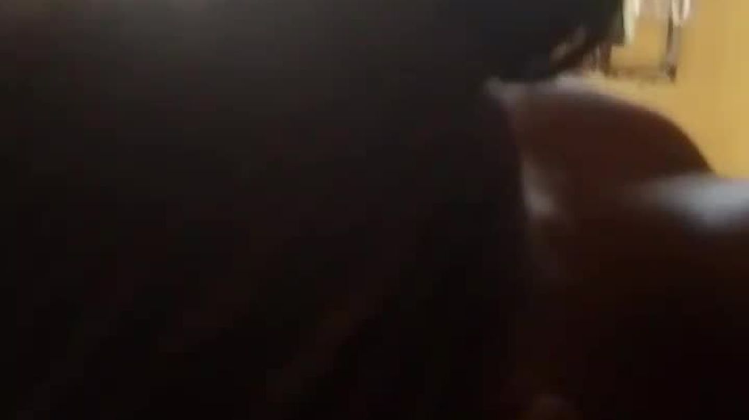 VID-20250501-WA0003