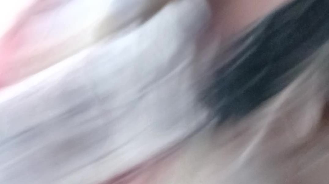20260315_152819