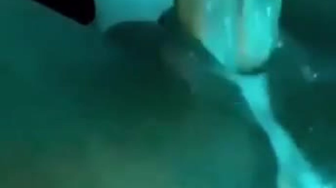 ⁣(Dbn) Phoenix Indian pussy leaking